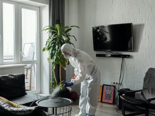woman cleaning living area