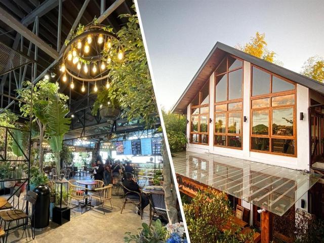 Ruined Project and Cafe Agapita