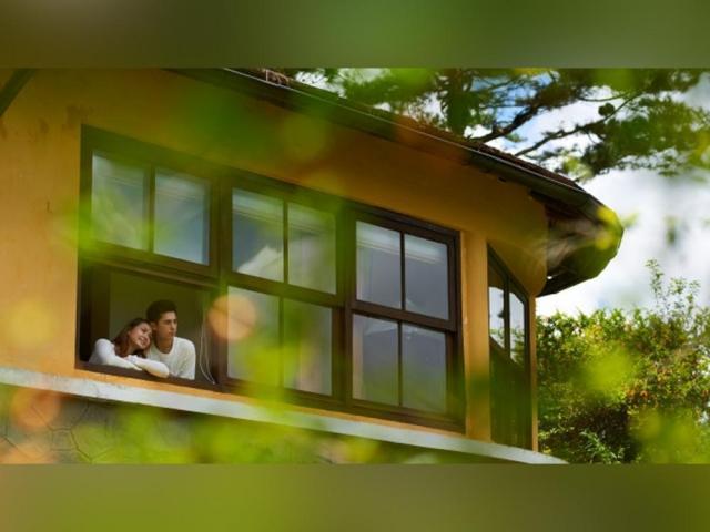 Couple looking out of the window