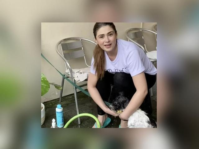 carla abellana and tom rodriguez