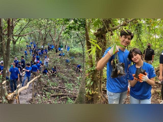 Sparkle artists tree planting activity