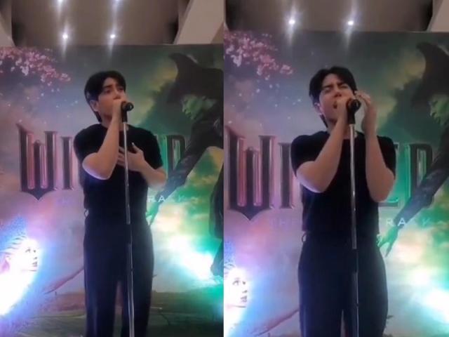 Stell defying gravity wicked cover