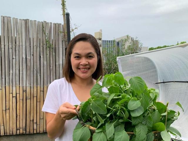 judy ann santos urban farming