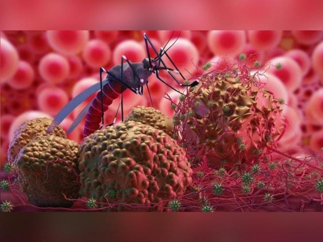 The Healthy Juan title card