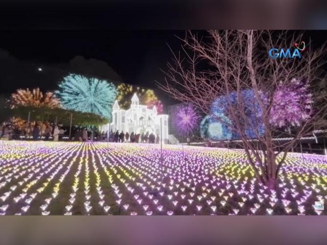 ashikaga flower park
