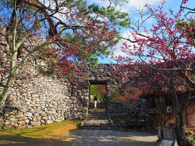 Biyahe ni Drew in Nakijin Castle