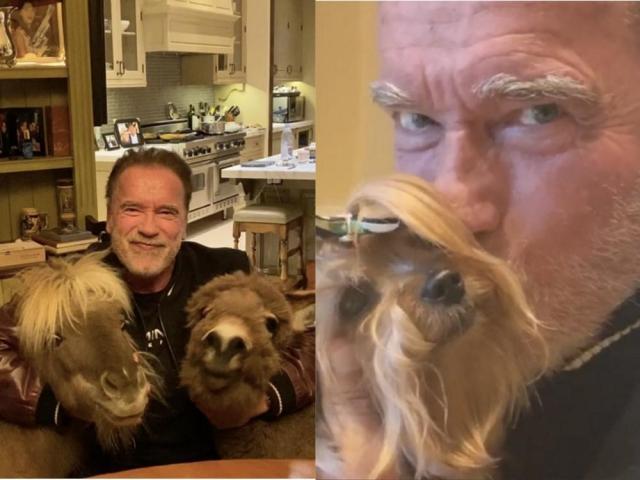 arnold schwarzenegger home quarantine buddies
