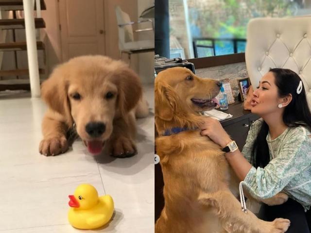 Ruffa Gutierrez and her pet dog Simba