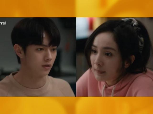 Xu Kai, She and Her Perfect Husband