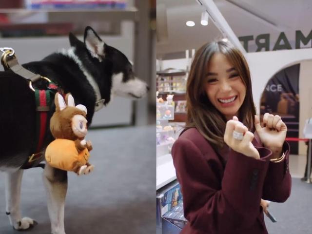 Heart Evangelista and pet dog panda