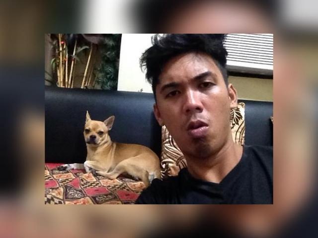 cong tv with pet dog tawki