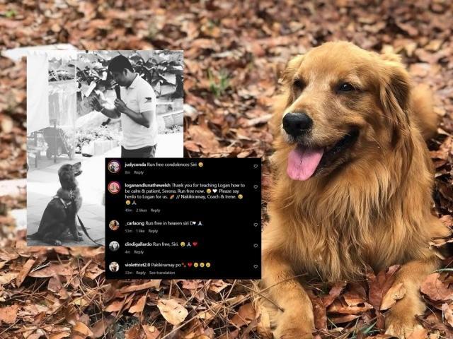 Siri and Coach Francis