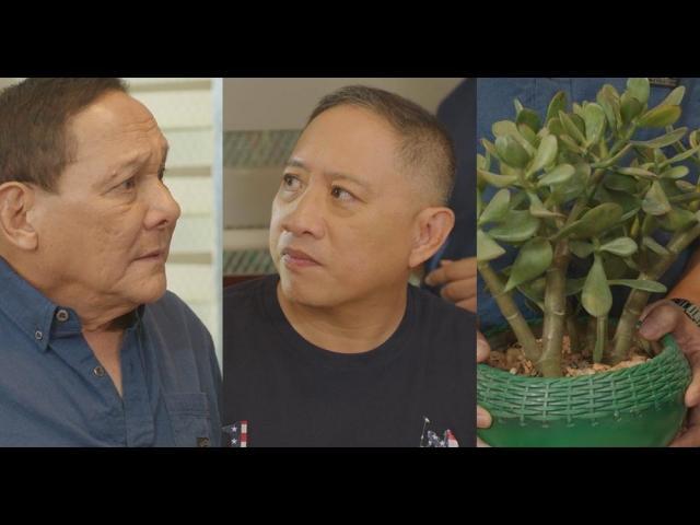 Tommy in Pepito Manaloto