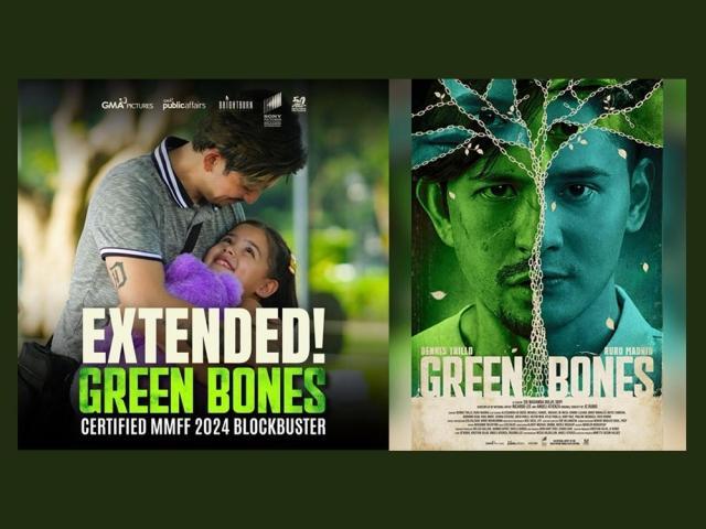 Green Bones posters