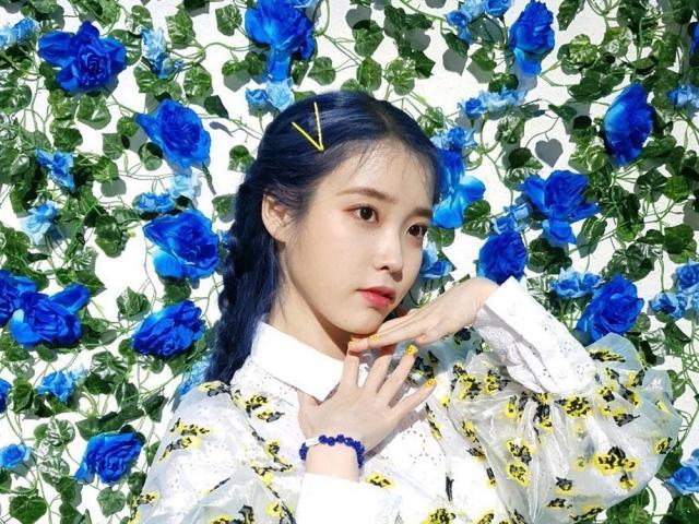 IU to start filming dream with park seo joon