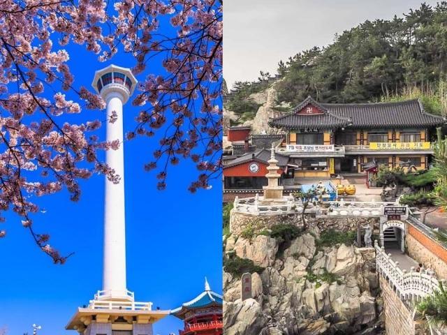 biyahe ni drew in busan south korea