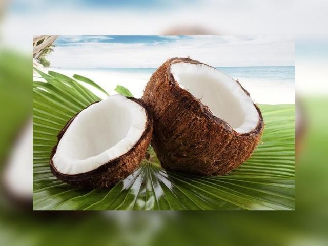 coconuts