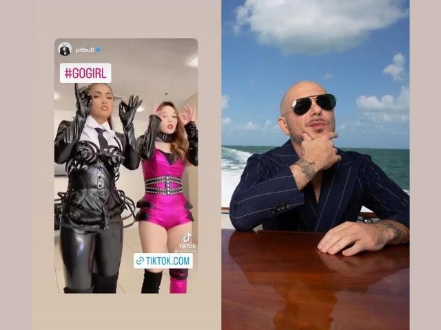 Rochelle Pangilinan Dasuri Choi and Pitbull