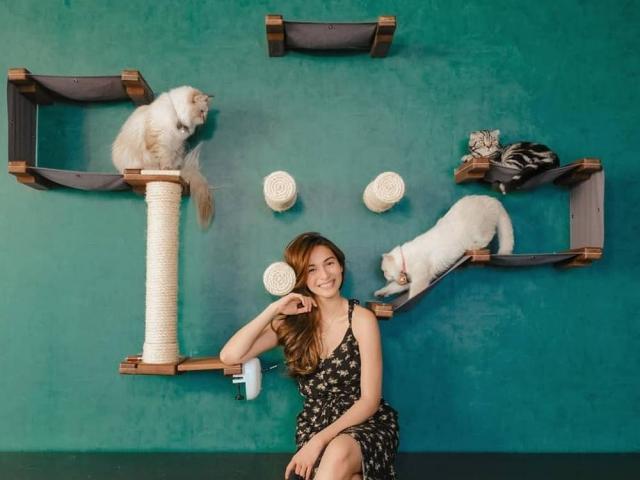 Jennylyn Mercado with her cats