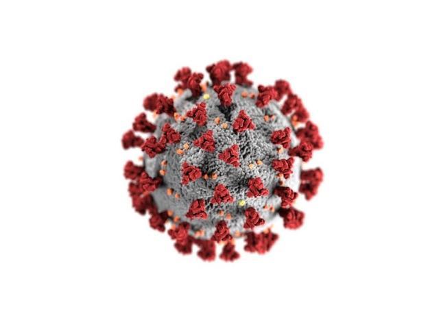 covid19 virus