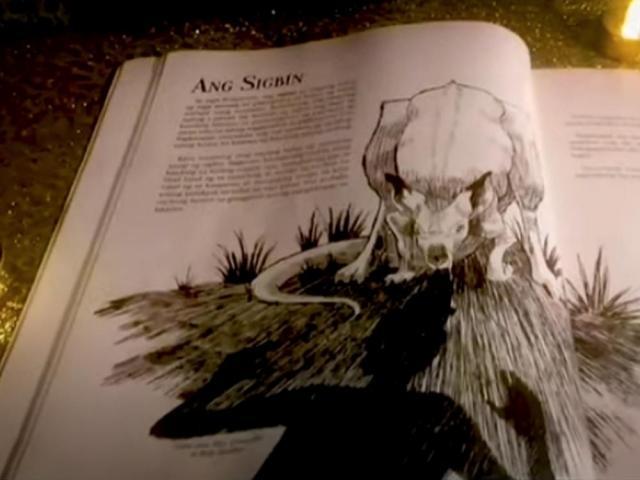 amazing earth sigbin