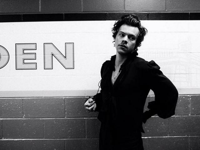 harry styles