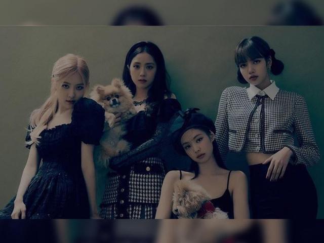 BLACKPINK members photoshoot