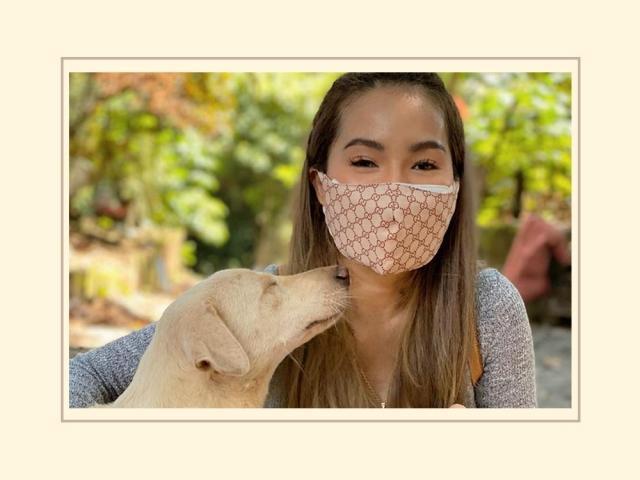 jelai andres feeds rescue shelter animals