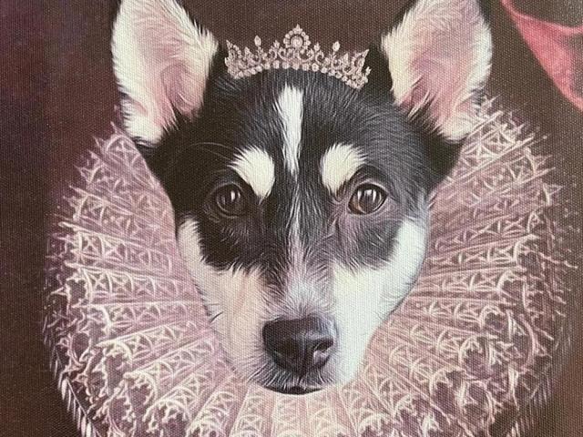 heart evangelista fur baby panda