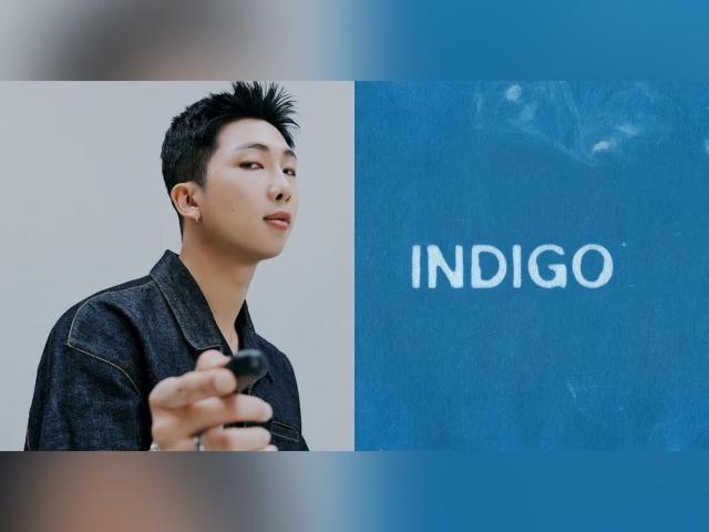 RM Indigo of BTS