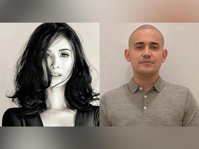 Heart Evangelista and Paolo Contis
