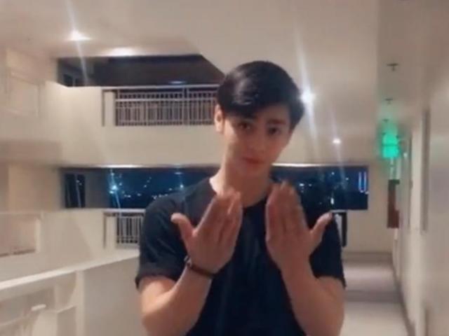 prima donnas actor vince crisostomo