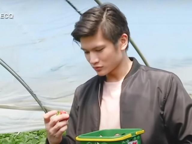 Taste Buddies title card