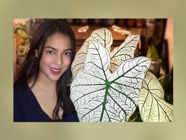 Karel Marquez as Certified Plantita