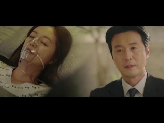 Show Window The Queen House