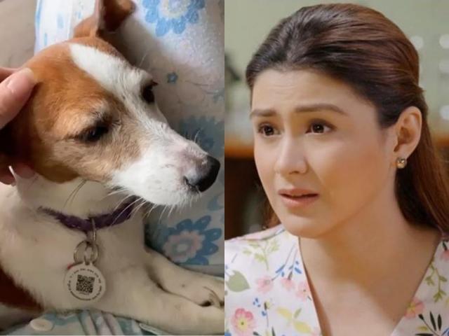 Carla Abellana and her dog Patches