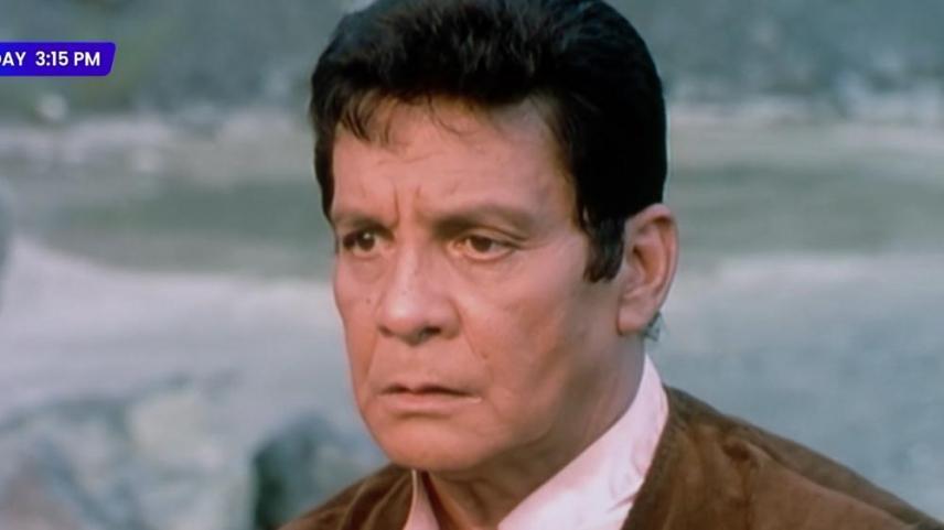 fernando poe jr fpj in ang alamat ng lawin