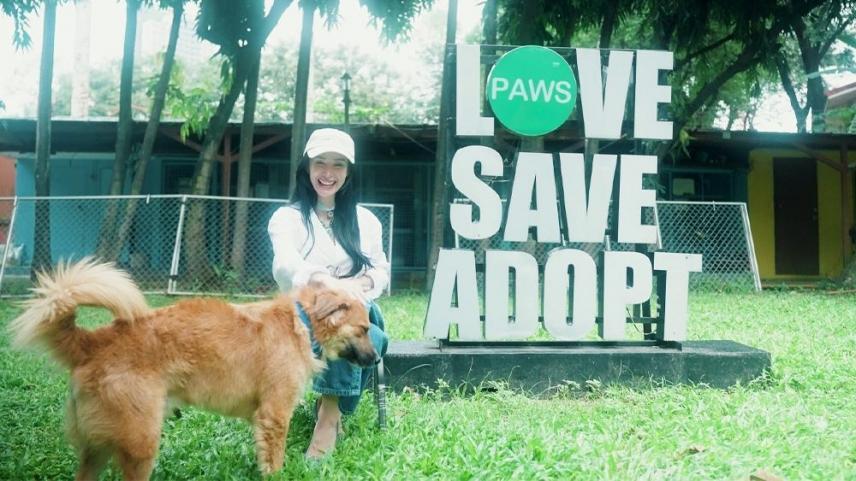 heart evangelista in heart world