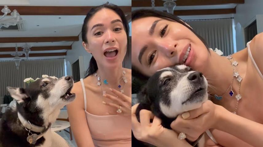 Heart Evangelista, panda