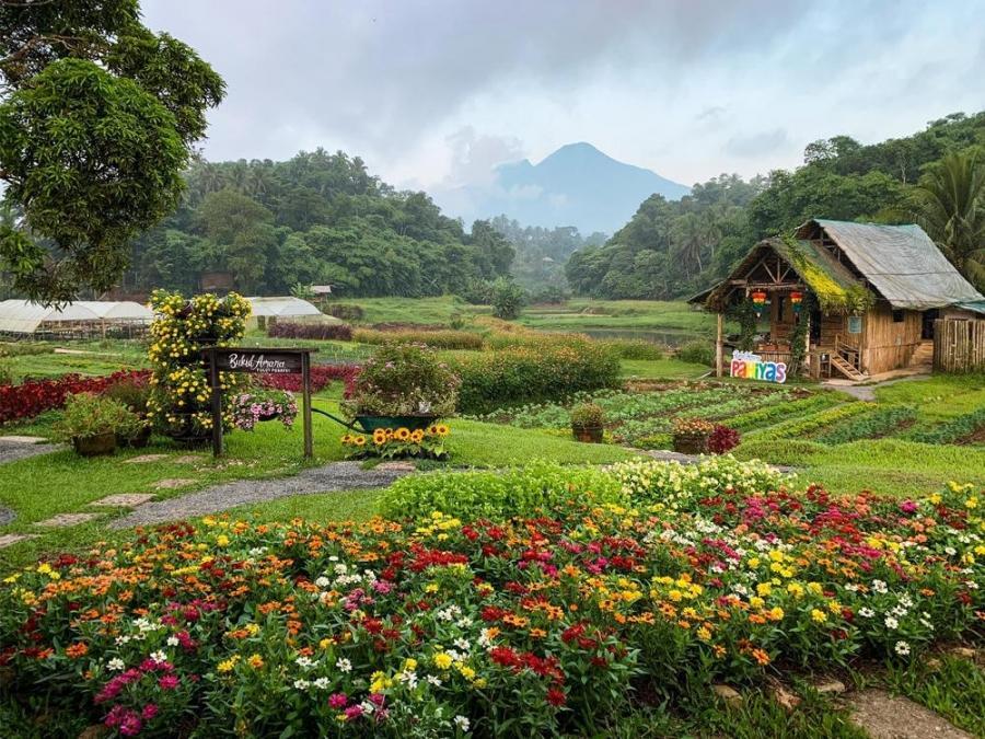 Unwind At This Lush Flower Farm In Quezon