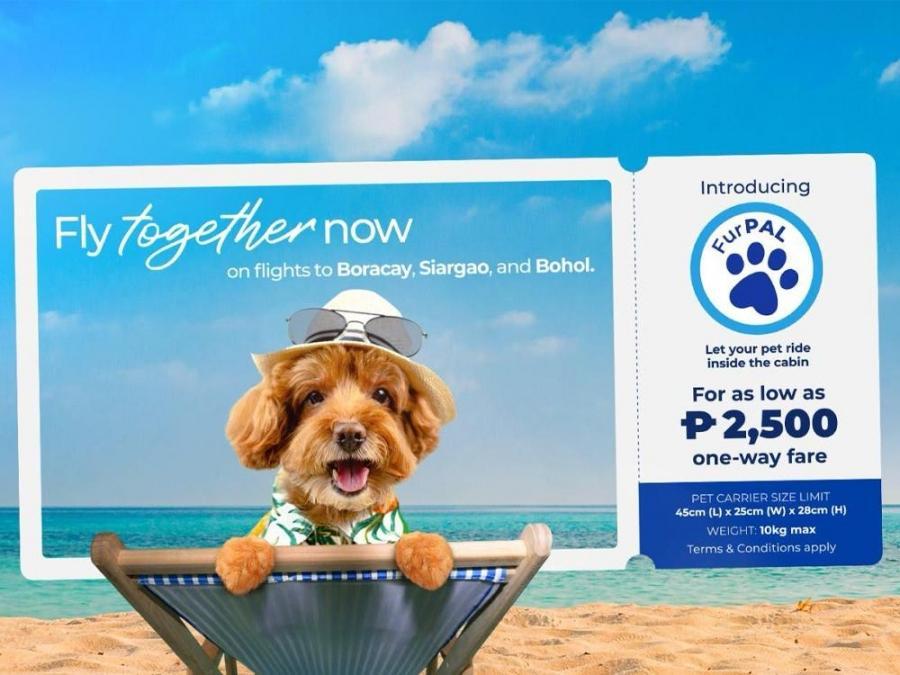 PH flag carrier now allows small dogs to fly in select domestic destinations - GMA Network