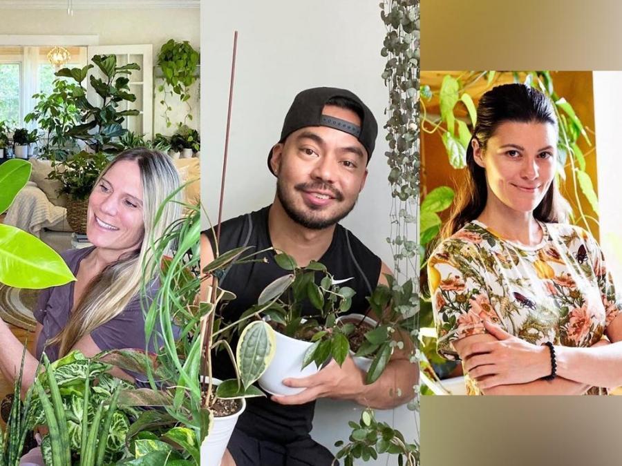 Planterina Crazy Plant Guy Summer Rayne Oakes