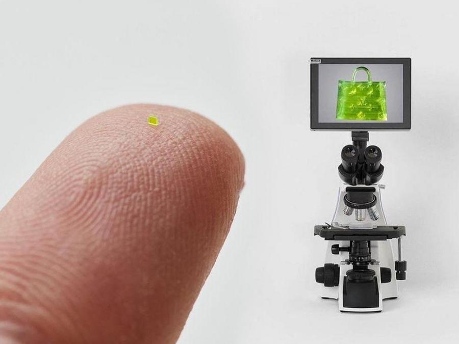 PHOTO+VIDEO  Smaller than a grain of salt: Louis Vuitton microscopic bag  sold for $63.000 - Free Press