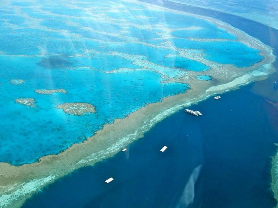 Australia's Great Barrier Reef stays off UNESCO danger list, still under  'serious threat
