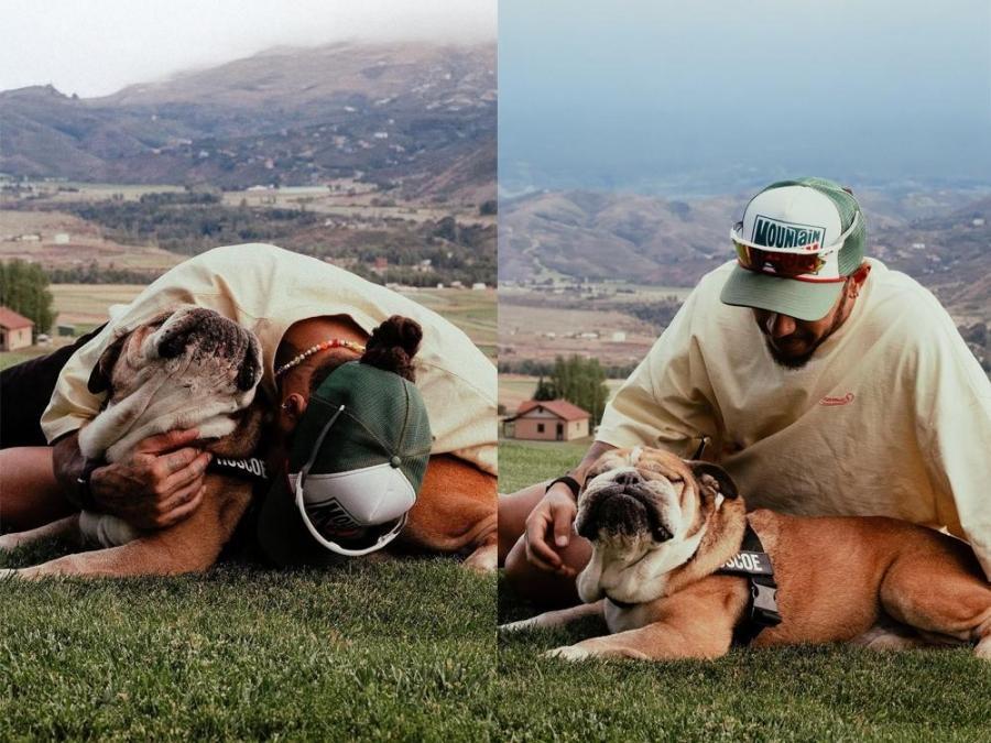 F1 racer Lewis Hamilton mourns death of dog Roscoe
