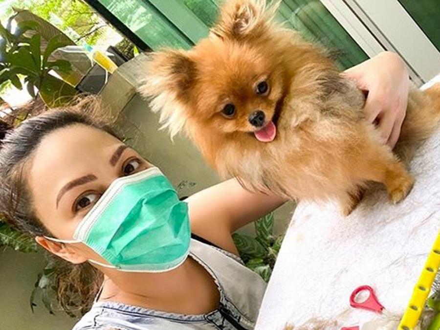 KC Concepcion cuts dog hair