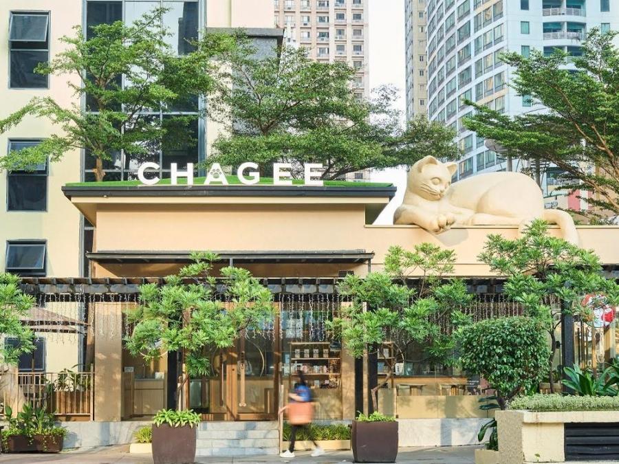 This milk tea shop redefines pet-friendly spaces - GMA Network