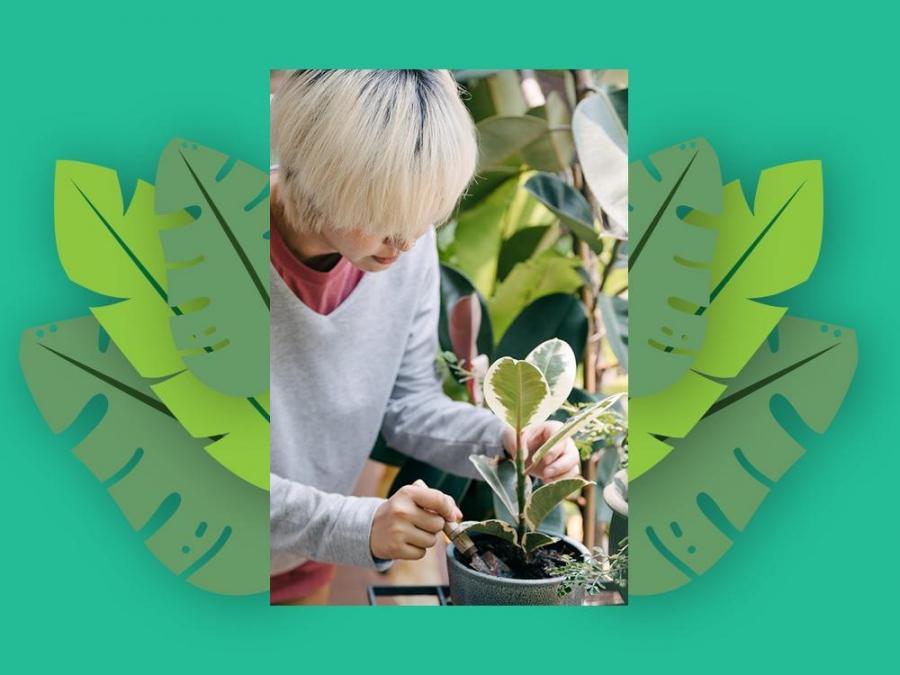 Plant care must have items