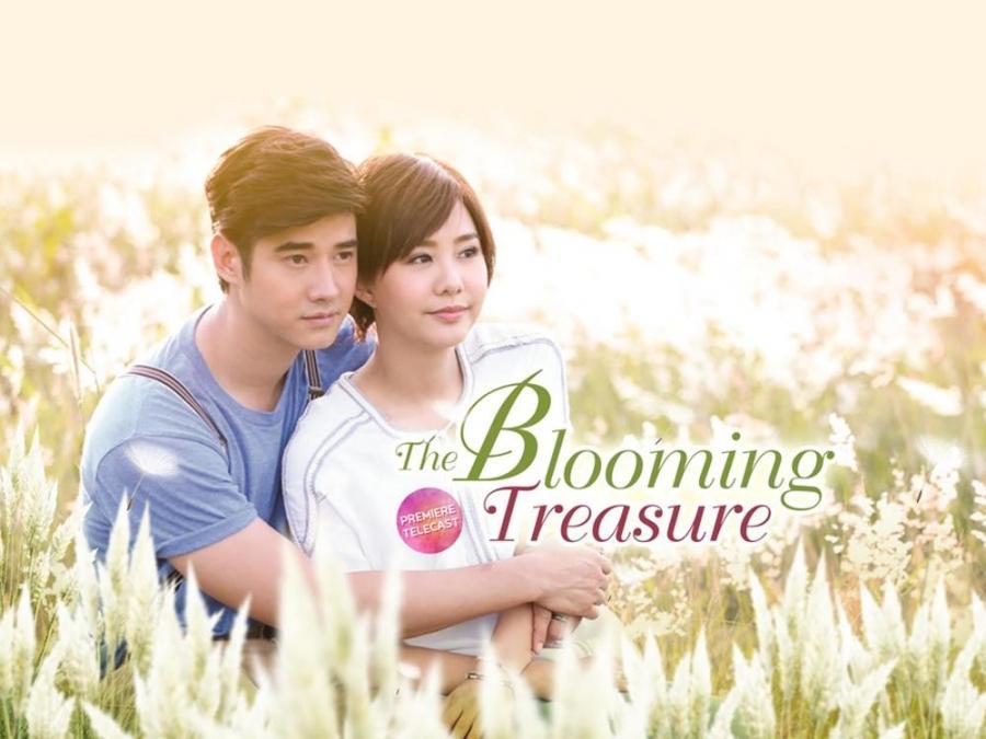 Mario Maurer captivates hearts via 'The Blooming Treasure' on GMA | GMA ...