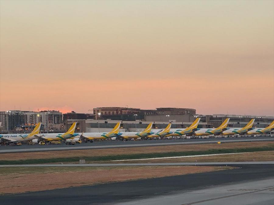 Local budget carrier to offer Starlink inflight Wi-Fi